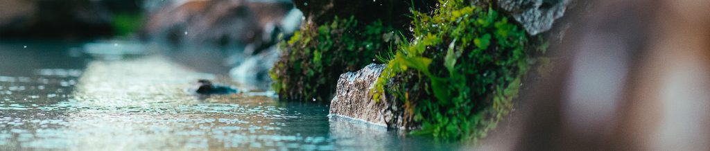 river - nature activity